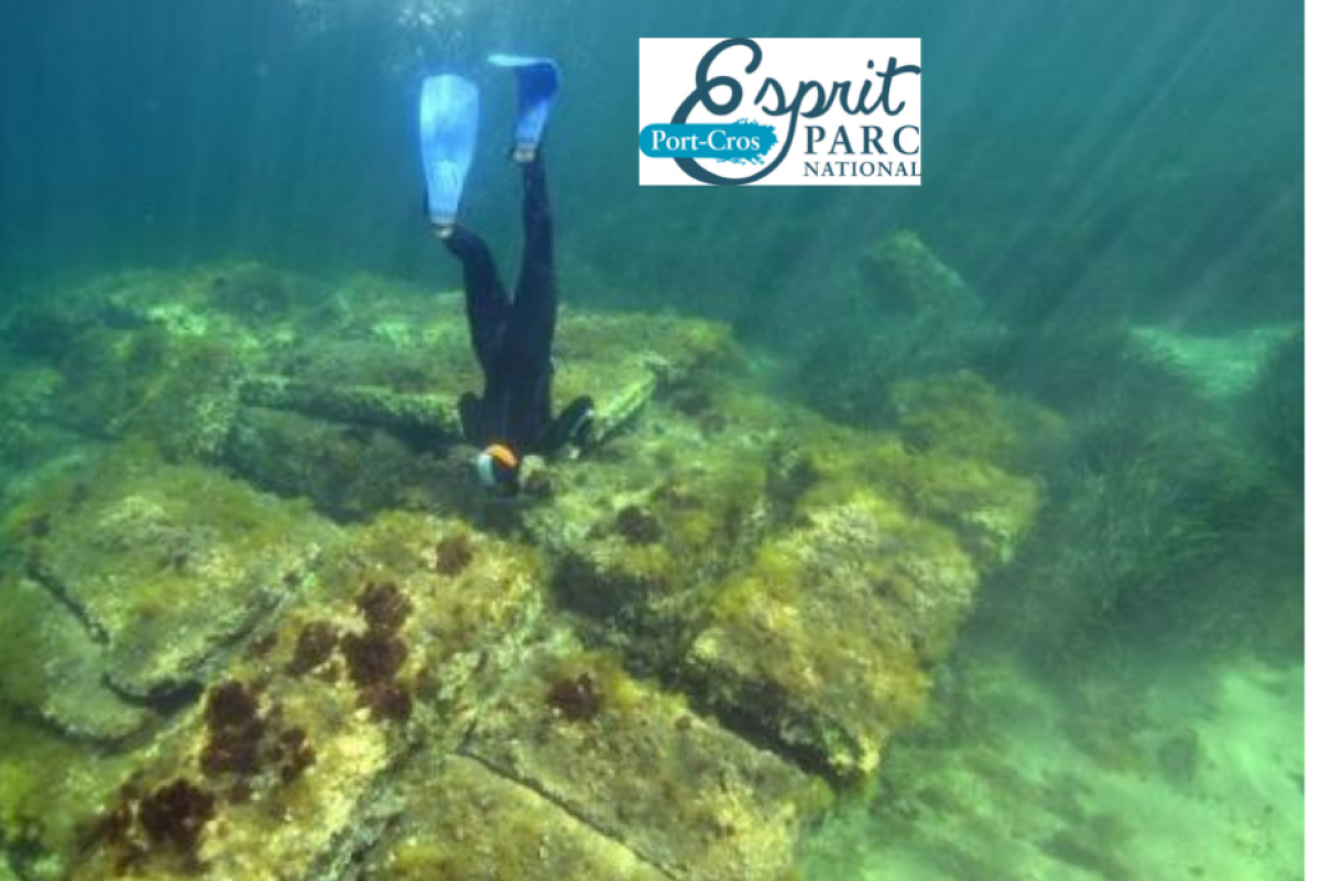 Randonnée Palmée / Snorkeling sur le sentier archéologique d'Olbia